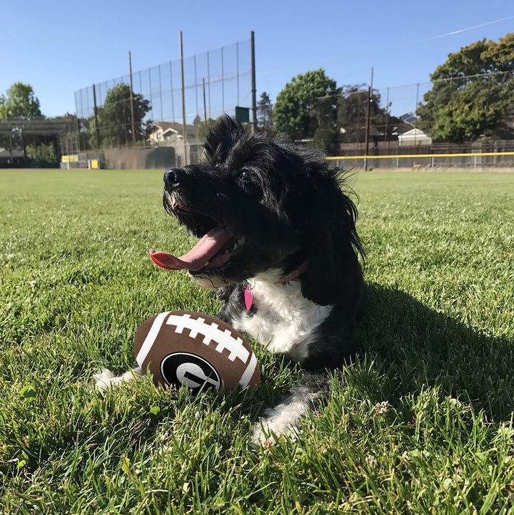 Georgia Bulldogs | NCAA Officially Licensed | Football Dog Toy