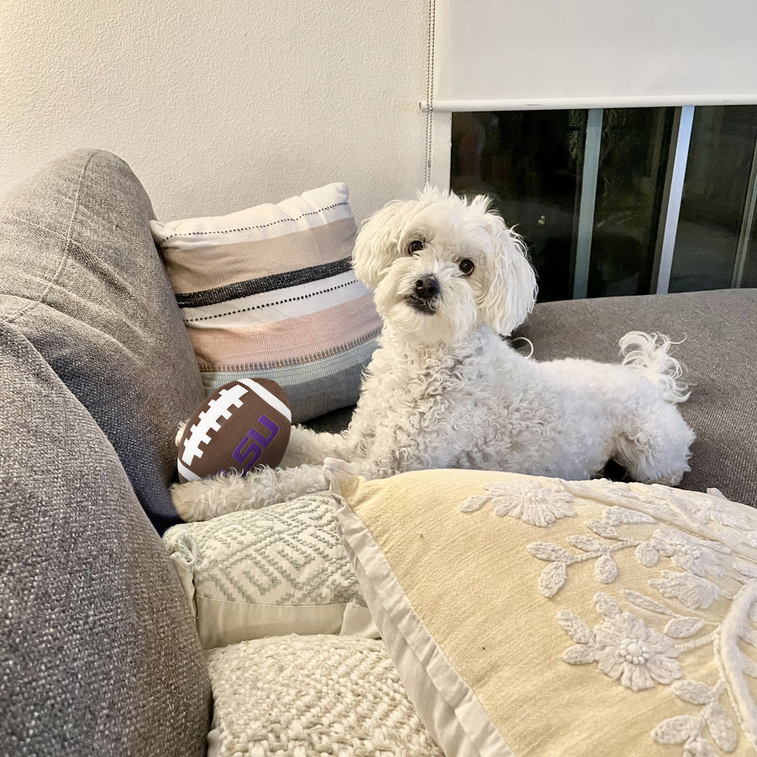 LSU Tigers | NCAA Officially Licensed | Football Dog Toy