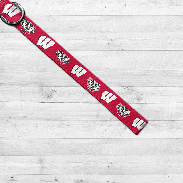 Wisconsin Badgers | NCAA Officially Licensed | Dog Leash