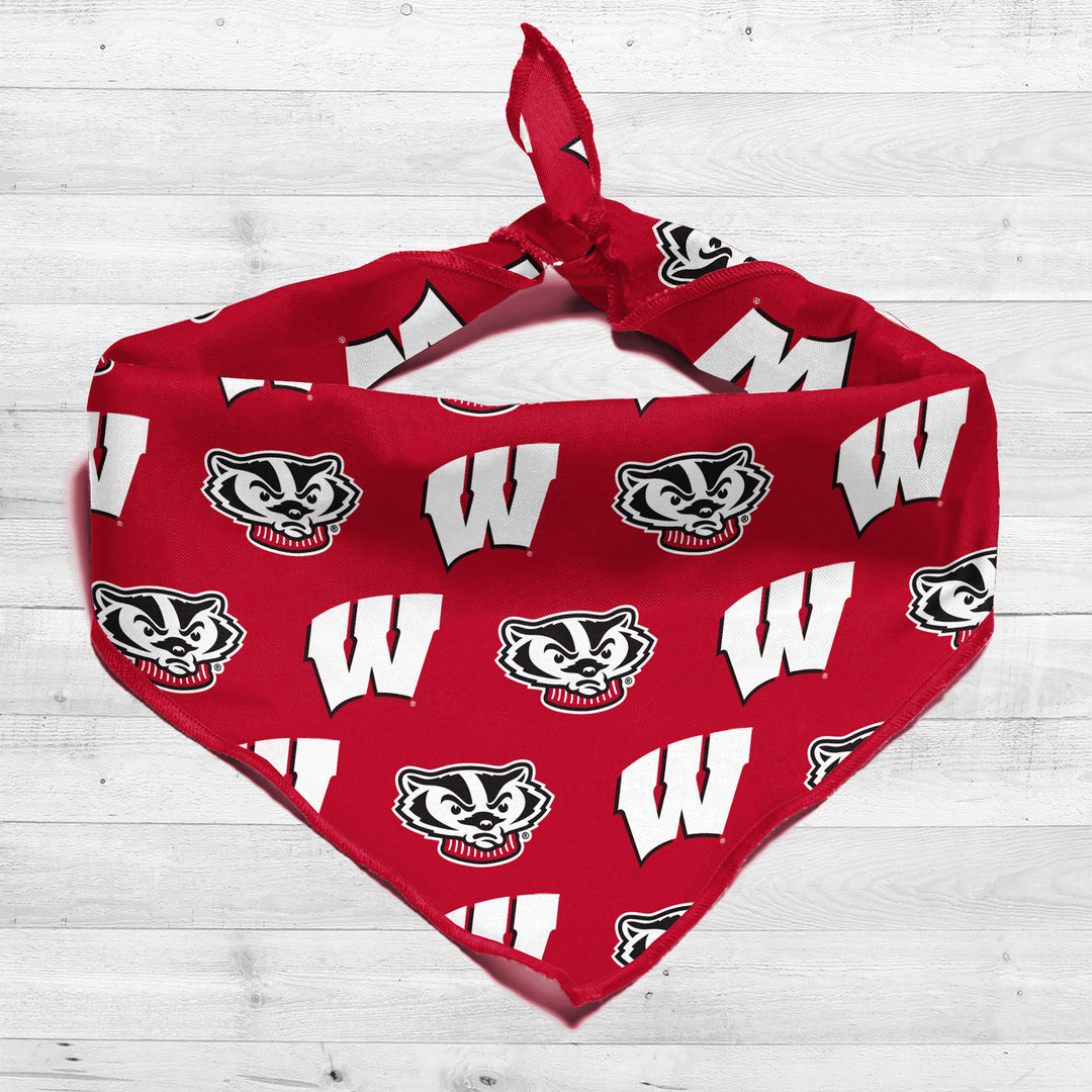 Wisconsin Badgers | NCAA Officially Licensed | Dog Bandana