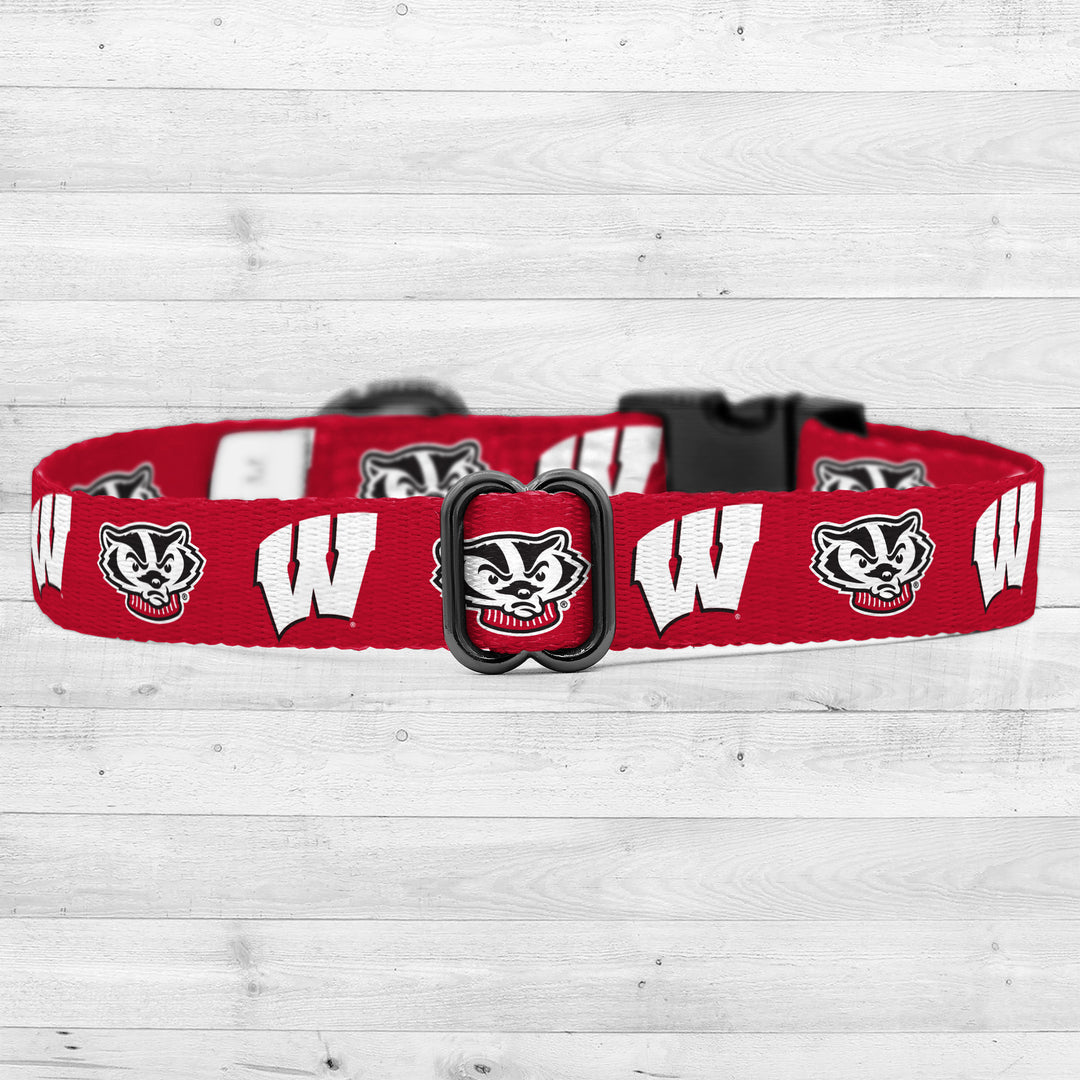 Wisconsin Badgers | NCAA Officially Licensed | Pet Collar