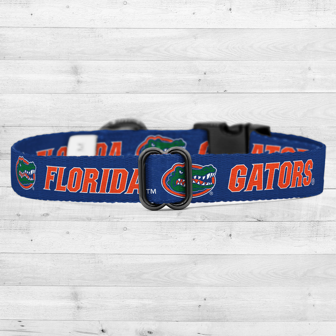 Florida Gators | NCAA Officially Licensed | Pet Collar