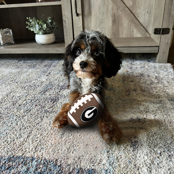 Georgia Bulldogs | NCAA Officially Licensed | Football Dog Toy