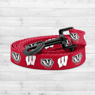 Wisconsin Badgers | NCAA Officially Licensed | Dog Leash