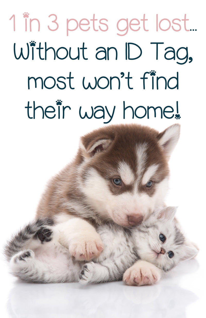 Disney | Up | Pet Tag 1-Sided